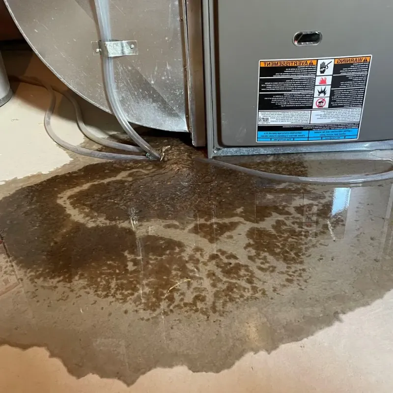 Pipe Burst and Leak Restoration in Cascade, IA
