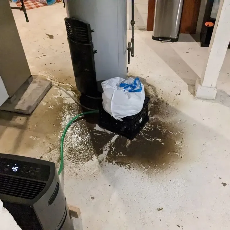 Sewage Backup Cleanup Service in Cascade, IA